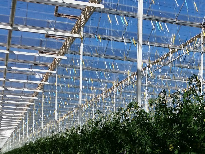 Semi-closed greenhouse roof Semi-closed greenhouse roof