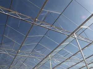 Venlo greenhouse roof system of Alcomij A frequently used Optinova Venlo greenhouse roof system of Alcomiij for conditioned cultivation