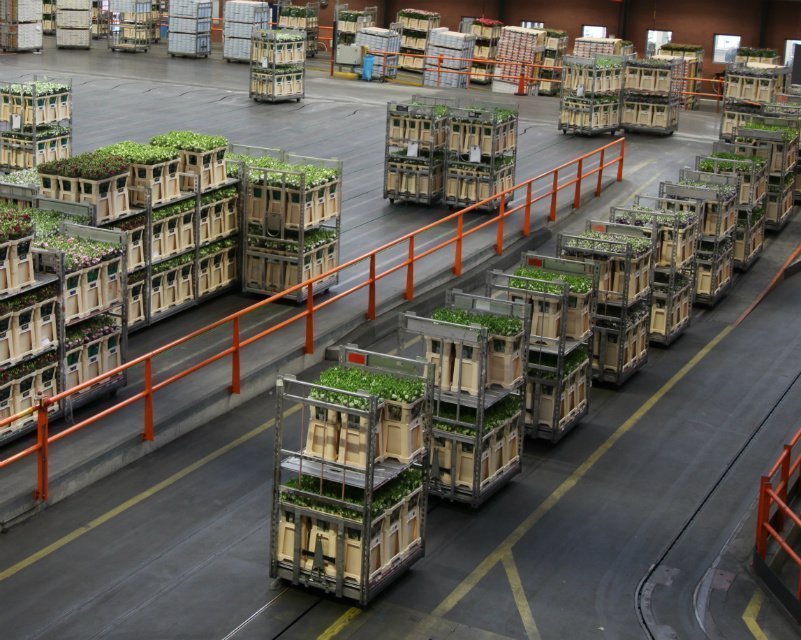 Flower trolley solution Flower trolley solution