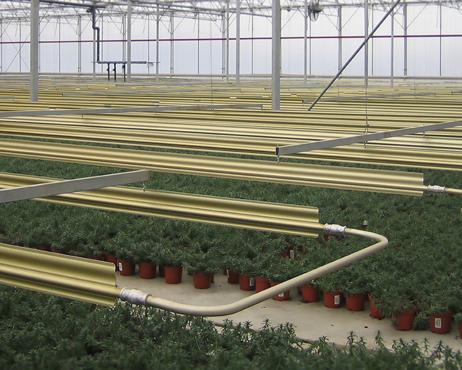 Alcomij – leaflet L-W-NL_EN-002-1118 – Kasverwarmingssystemen _ Greenhouse heating systems – (V2.8) Alcomij – leaflet L-W-NL_EN-002-1118 – Kasverwarmingssystemen _ Greenhouse heating systems – (V2.8)