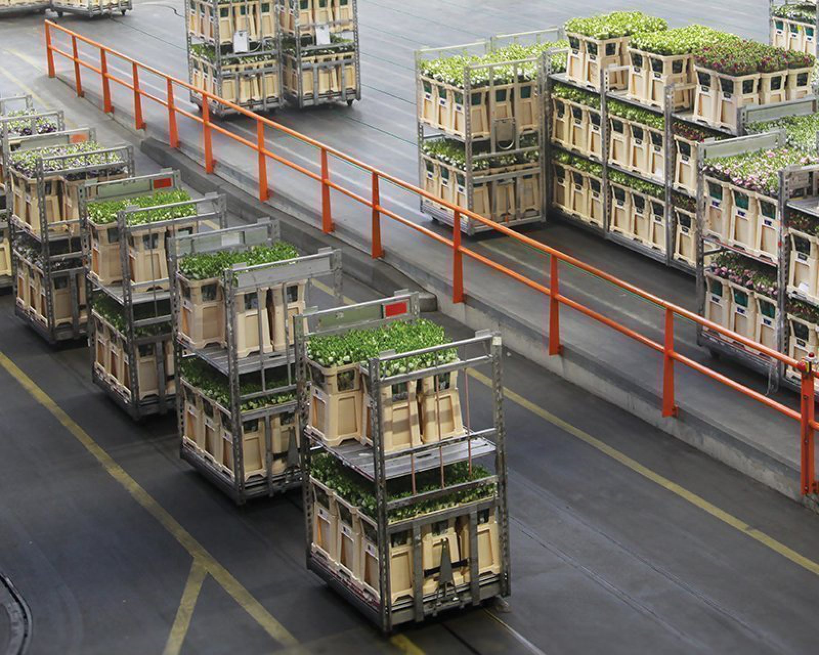 Alcomij – leaflet L-W-NL_EN-004-1118 – Aluminium stapelwagens _ Aluminium flower trolleys – (V2.8) Alcomij – leaflet L-W-NL_EN-004-1118 – Aluminium stapelwagens _ Aluminium flower trolleys – (V2.8)