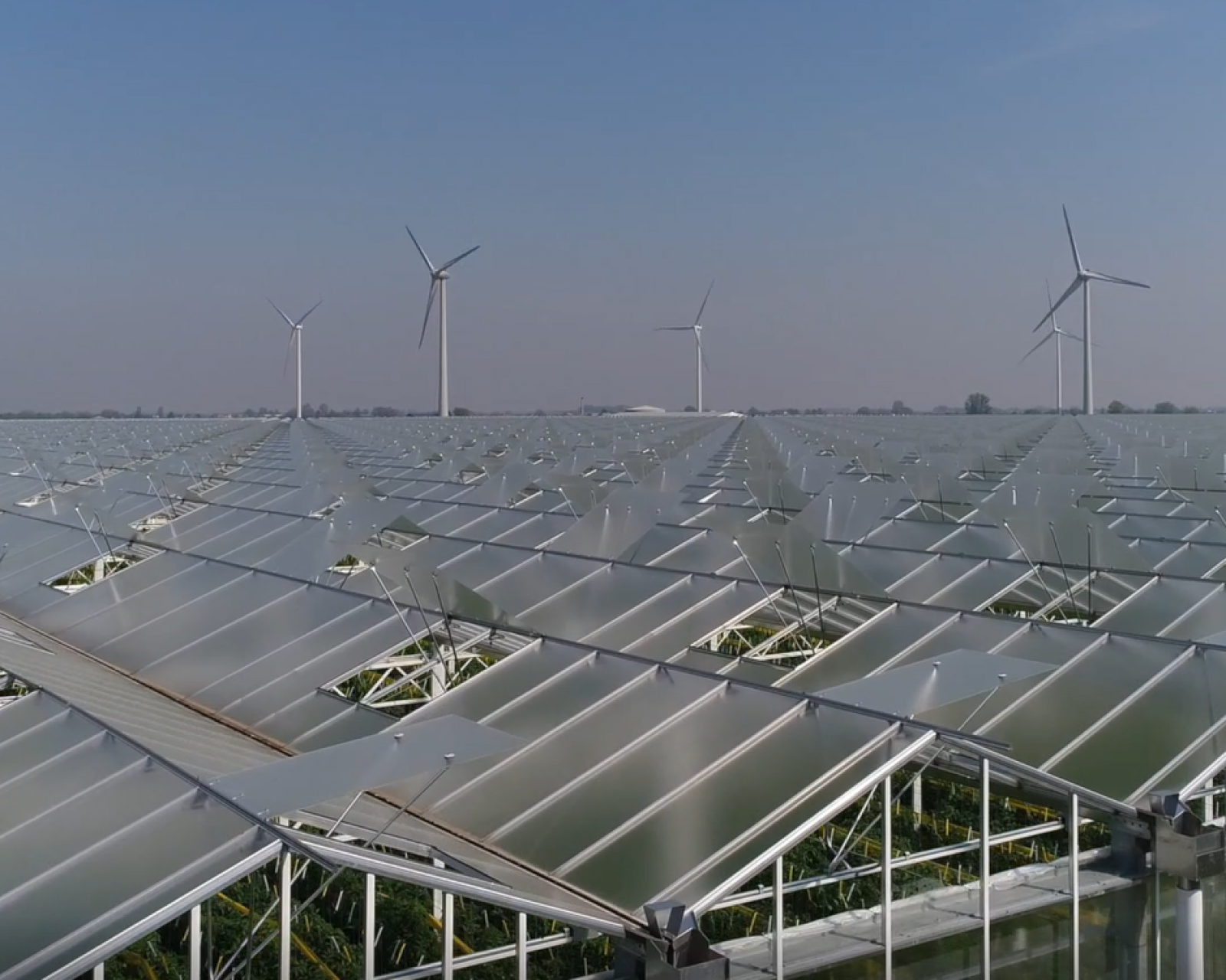 kas met luchtramen en windmolens kas met luchtramen en windmolens