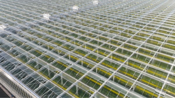 Productiekassen voor duurzame voedselproductie. Hoogwaardige kasconstructies voor moderne teelt.